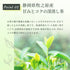 檸檬草 x 綠茶茶包 2.5g x 35p